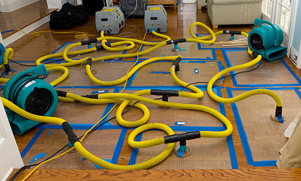Professional Basement Flood Cleanup technician working in Wrenshall, MN
